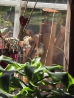 Ernie am Chillen &raquo; Ernie am Chillen